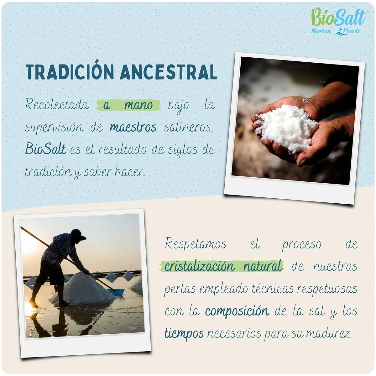 BioSalt Sal Marina Virgen Ecológica 2 x 650 g Extra Gruesa Sal de Cádiz 100% Natural Sin Refinar y Rica en Minerales + Sal Gourmet Cocina Saludable + eBook Exclusivo de Recetas Gourmet