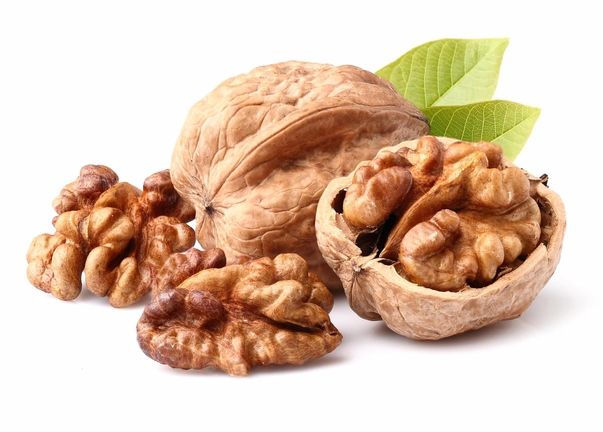 Harina de nueces, 500 g, fibra alimenticia de Hortus Verdi, sin gluten, harina de nueces, 100% natural, vegana, rica en proteínas