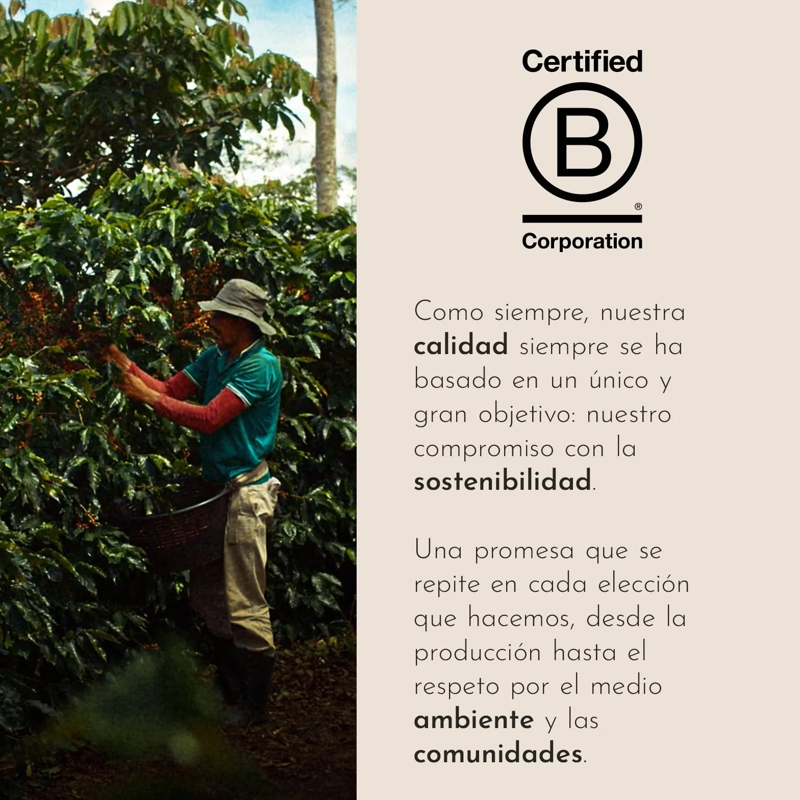 illy CLASSICO Café en Grano 100% Arábica 500g