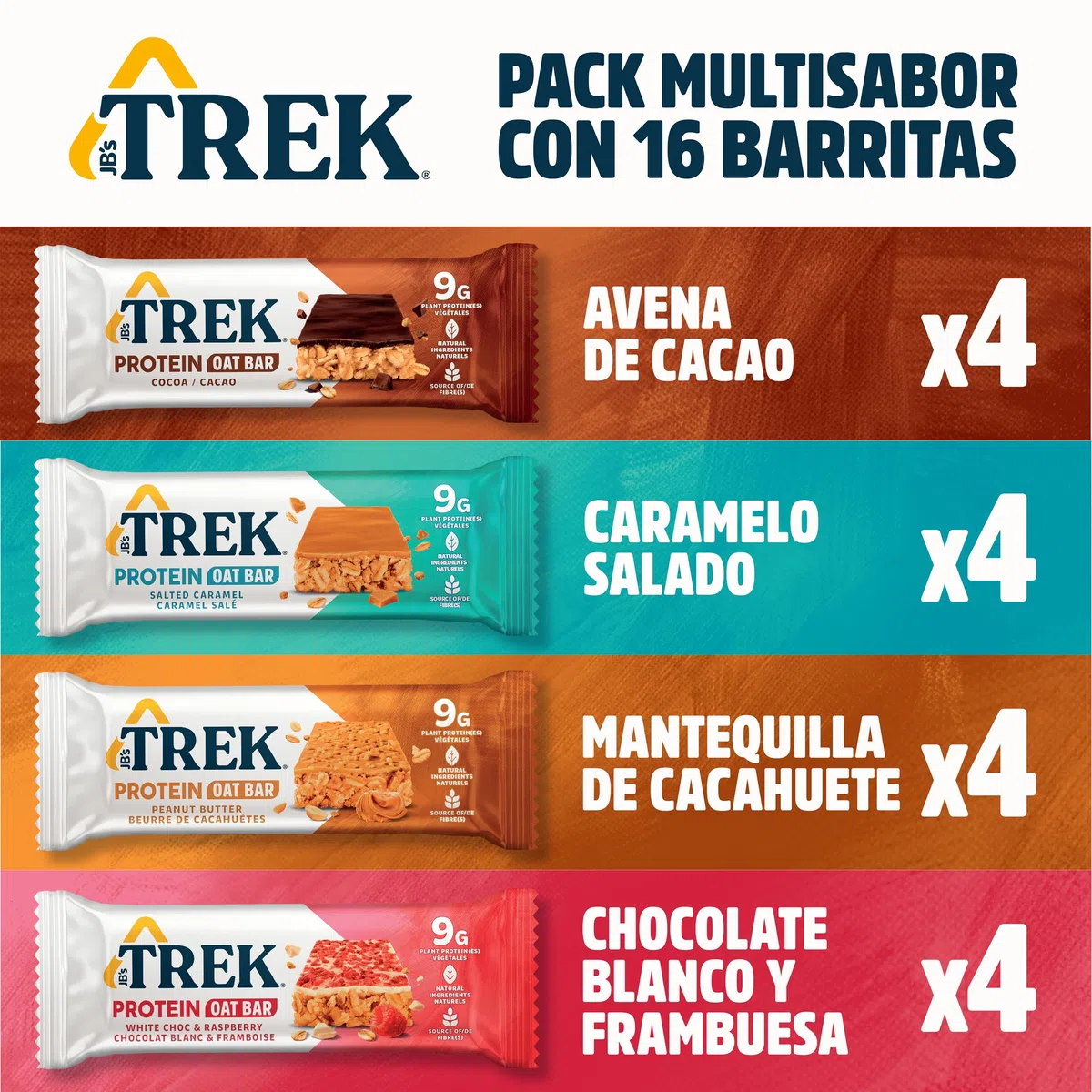 TREK Barrita Proteíca de Avena | Pack Multisabor | Plant-Based | Sin Gluten | Vegano | 16 x 50g Barritas | 800g
