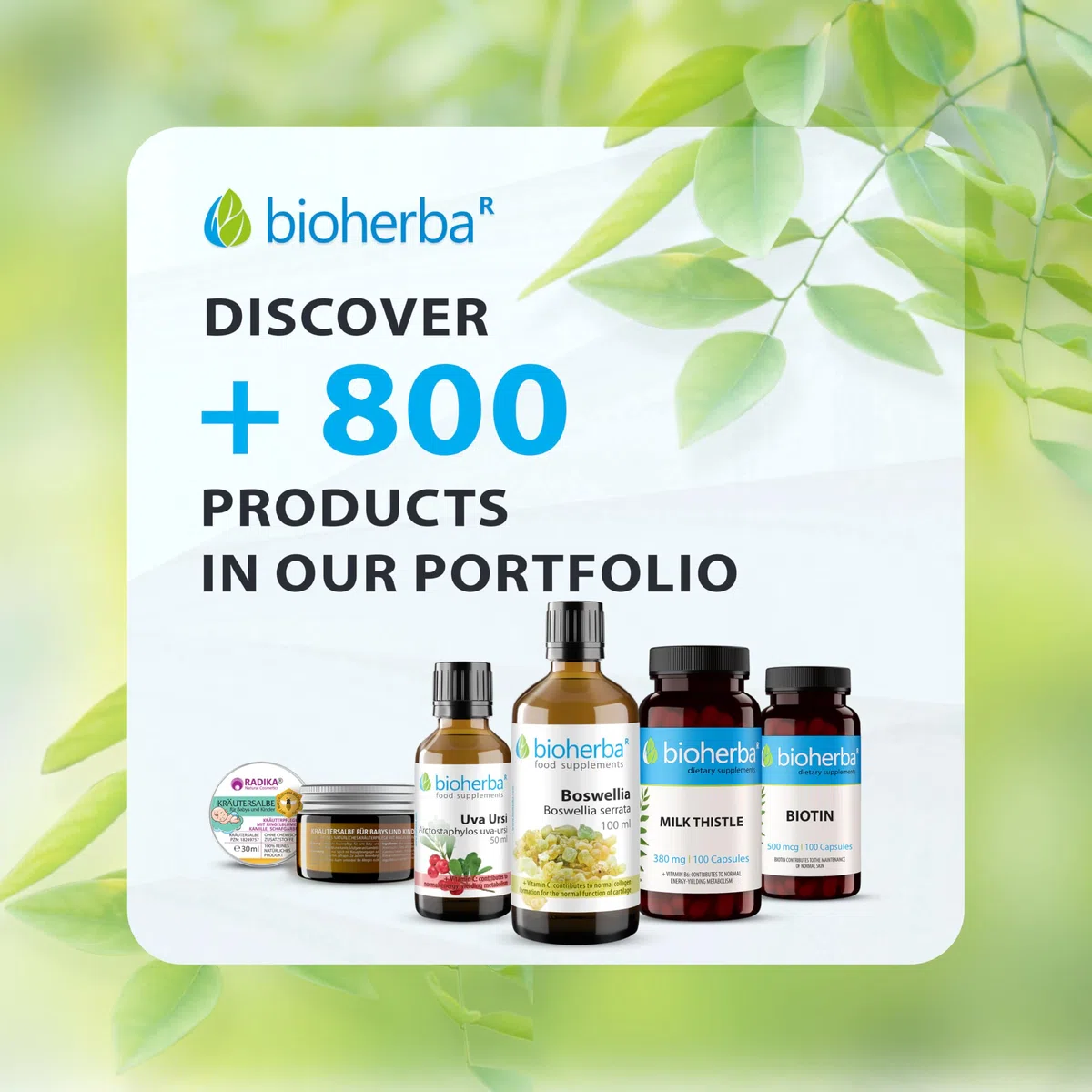 Aceite de semilla de chía 250 ml – Prensado en frío, 100 % natural y sin refinar | Para cocina y uso cosmético | BIOHERBA (1)
