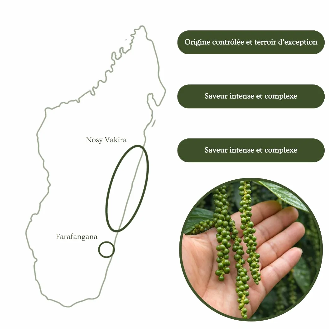 Pimienta Voatsiperifery silvestre de Madagascar bolsita 100g.