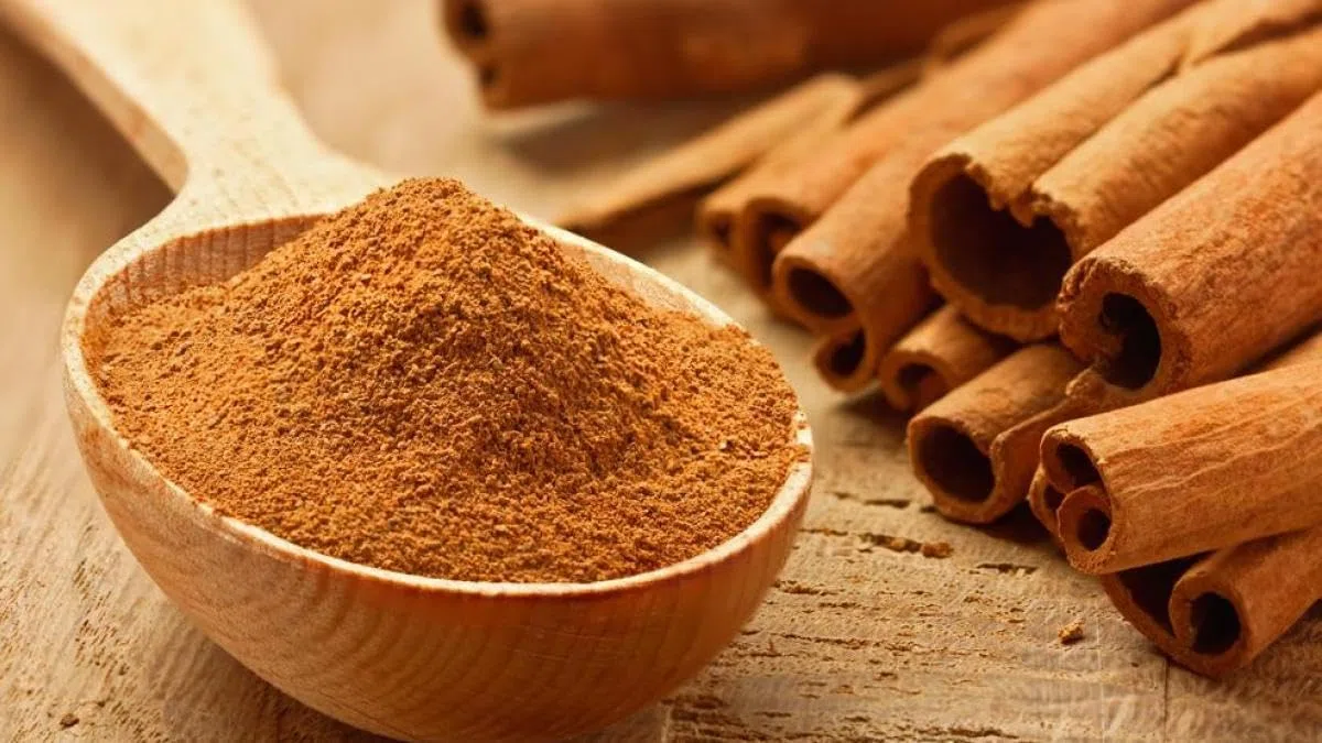 Canela molida 700 gr - canela en polvo - pelluz