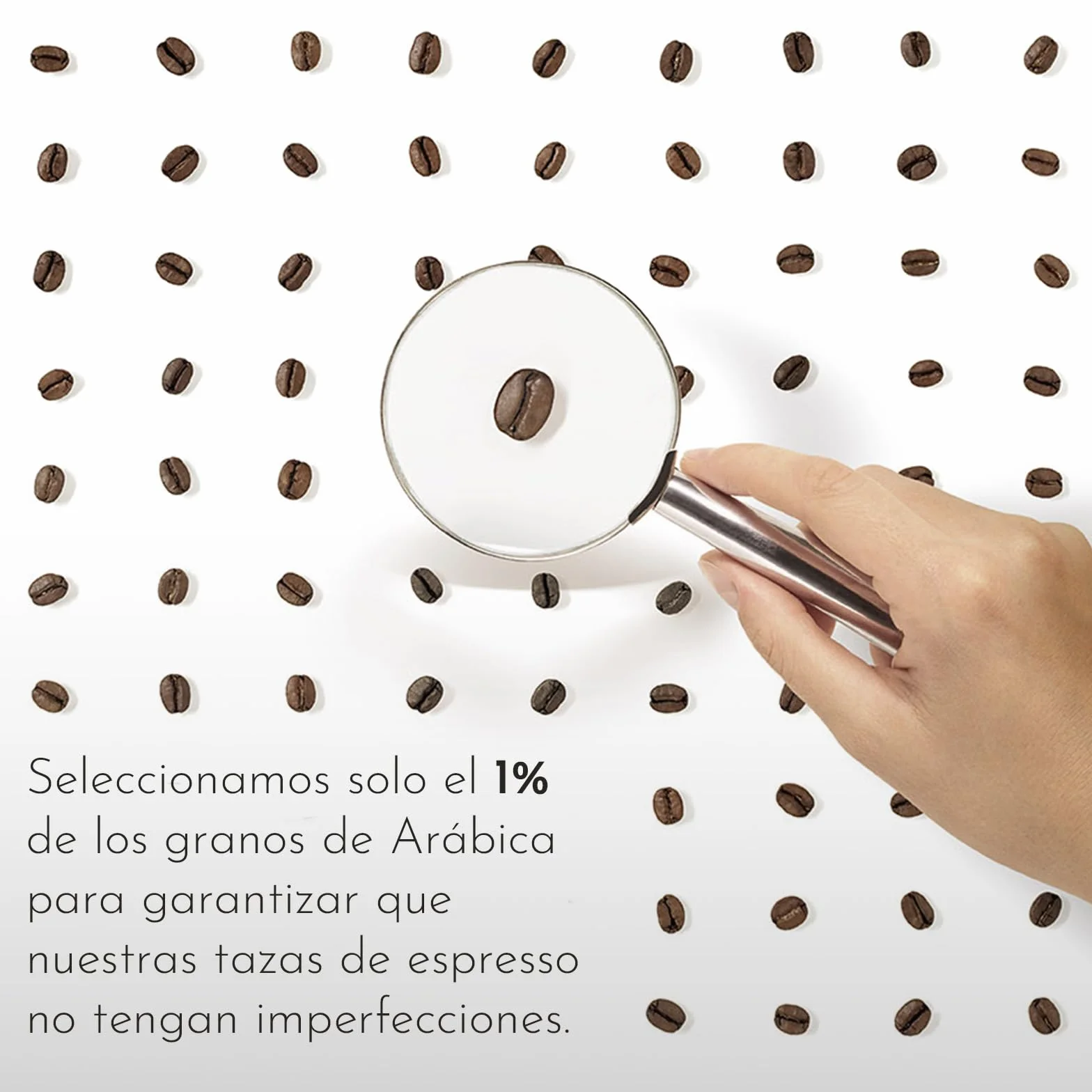 illy CLASSICO Café en Grano 100% Arábica 500g