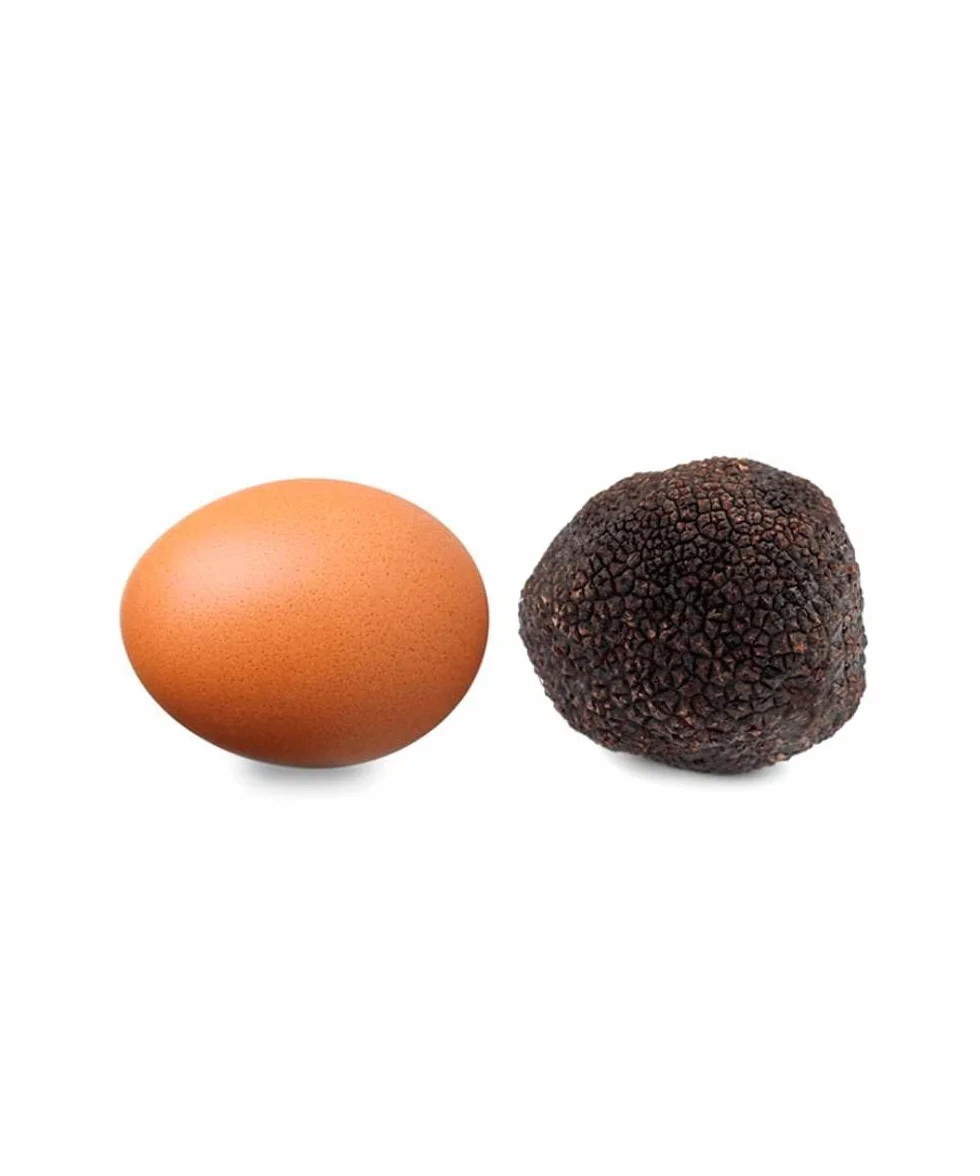 Trufa Negra Melanosporum L - (60gr) - 60 gr