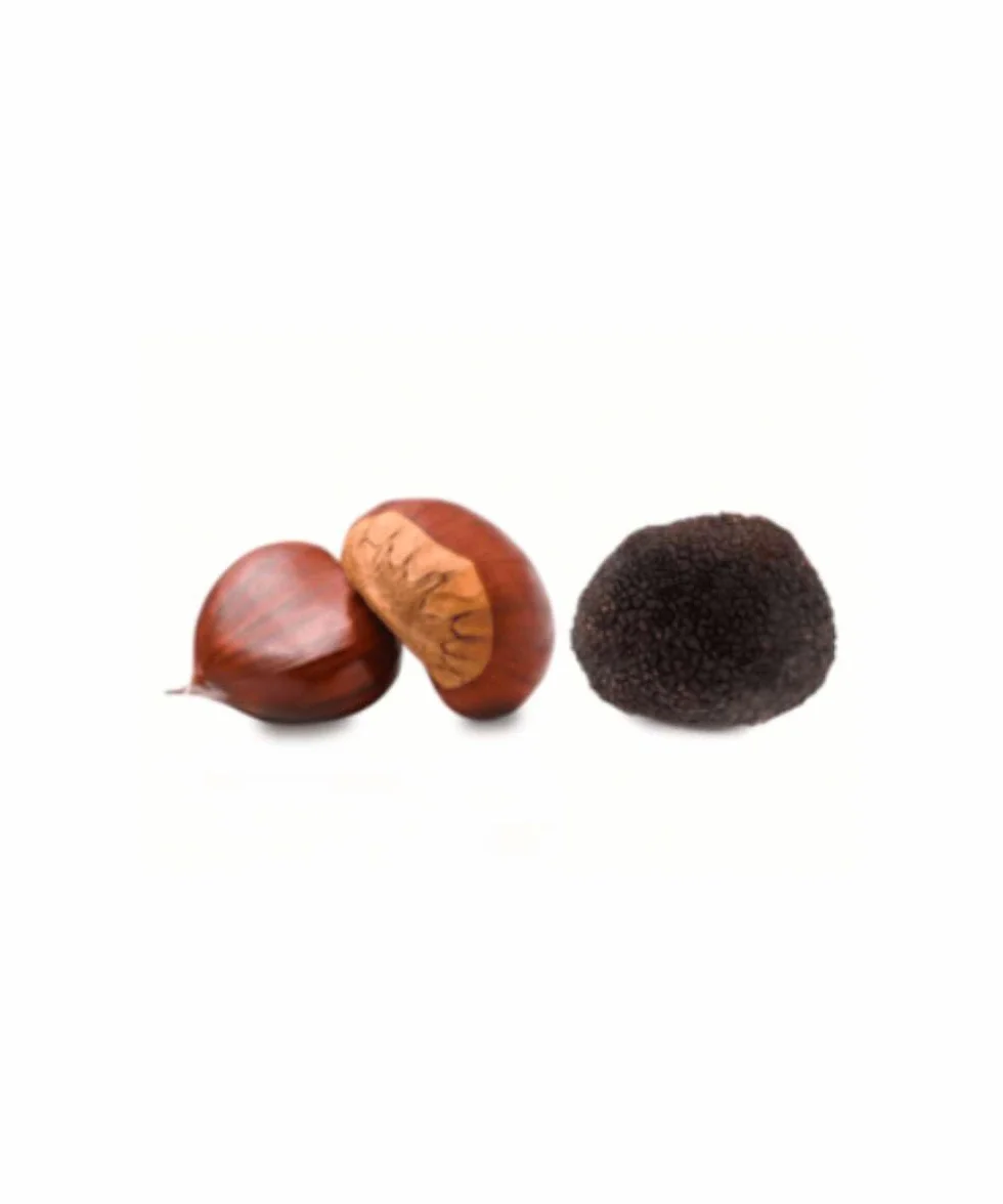 Trufa Negra Melanosporum S - (10gr) - 10gr