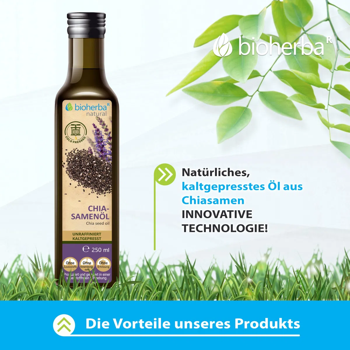 Aceite de semilla de chía 250 ml – Prensado en frío, 100 % natural y sin refinar | Para cocina y uso cosmético | BIOHERBA (1)